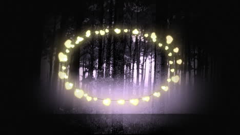 luces de hadas decorativas brillantes amarillas contra múltiples árboles en el bosque
