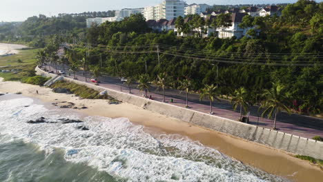 carretera costera tropical con línea de palmeras y villas de lujo detrás, toma aérea de drones