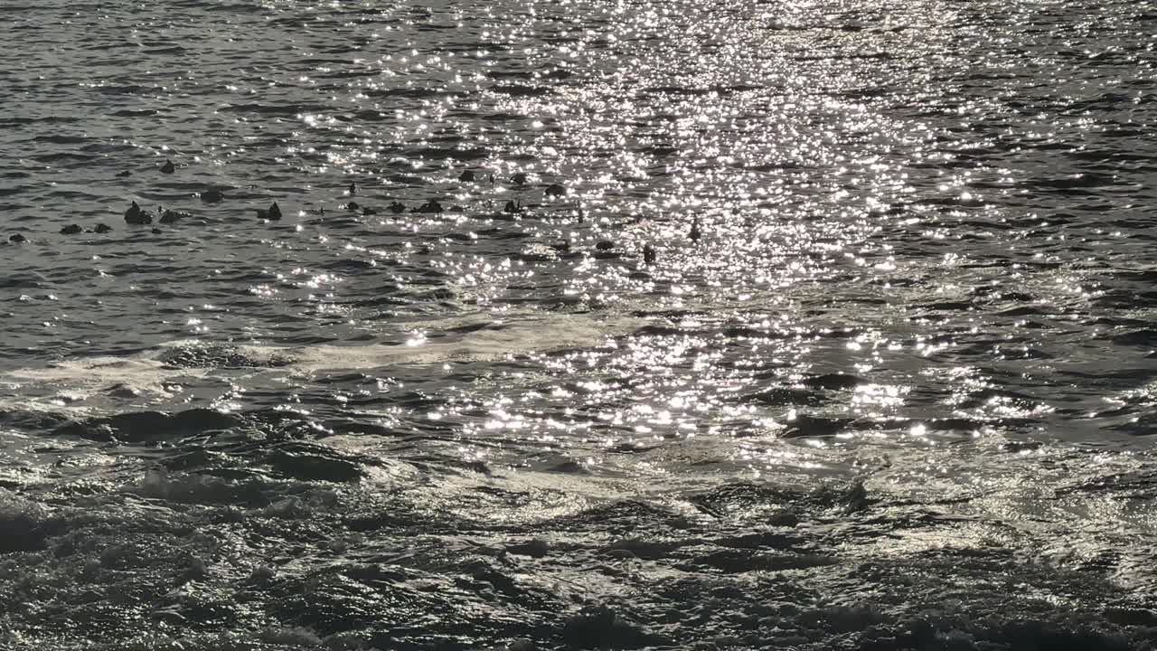 Surface water reflections and light shimmer near Sea Point in Cape Town, South Africa.