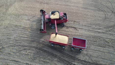 un agricultor cosecha una cosecha de soja en el noreste de wisconsin