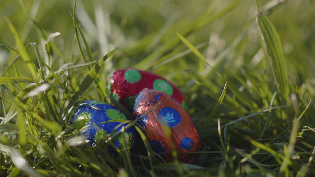 Festive Easter egg hunt in the garden
