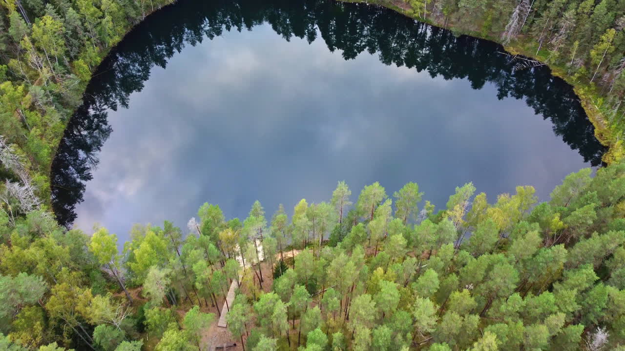 Aerial View of a Serene Lake in a Lush Forest