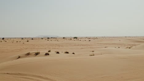 desert landscape