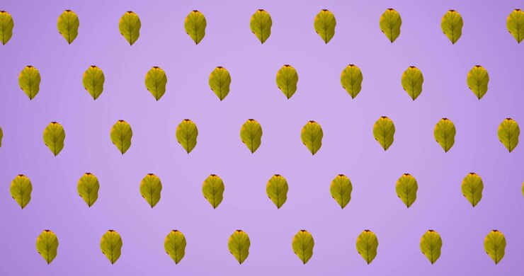 Animation of rows of autumn yellow leaves on purple background
