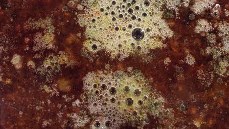 macro bubbling dark red lava planet surface bubbling texture background