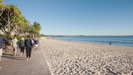 beachside boardwalk with tourists walking under pandanus trees with ocean view, 4k wide slow motion