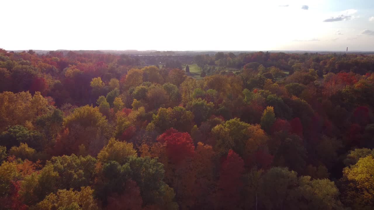 vuela sobre el parque y los árboles en cálidos colores rojo y naranja