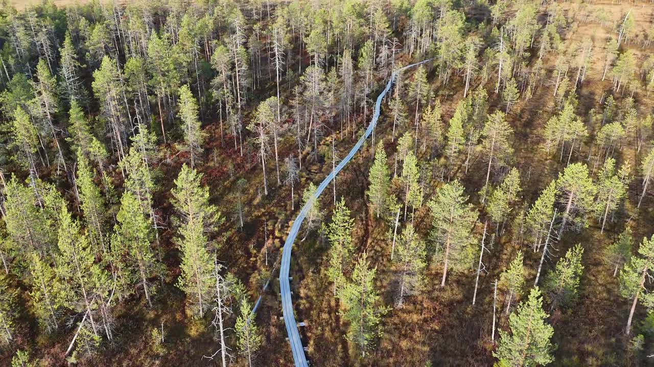 Drone footage moving forward along a wooden path through dense forest in Lapland, Finland. Natural woodland environment with trees, boardwalk, and calm daylight atmosphere