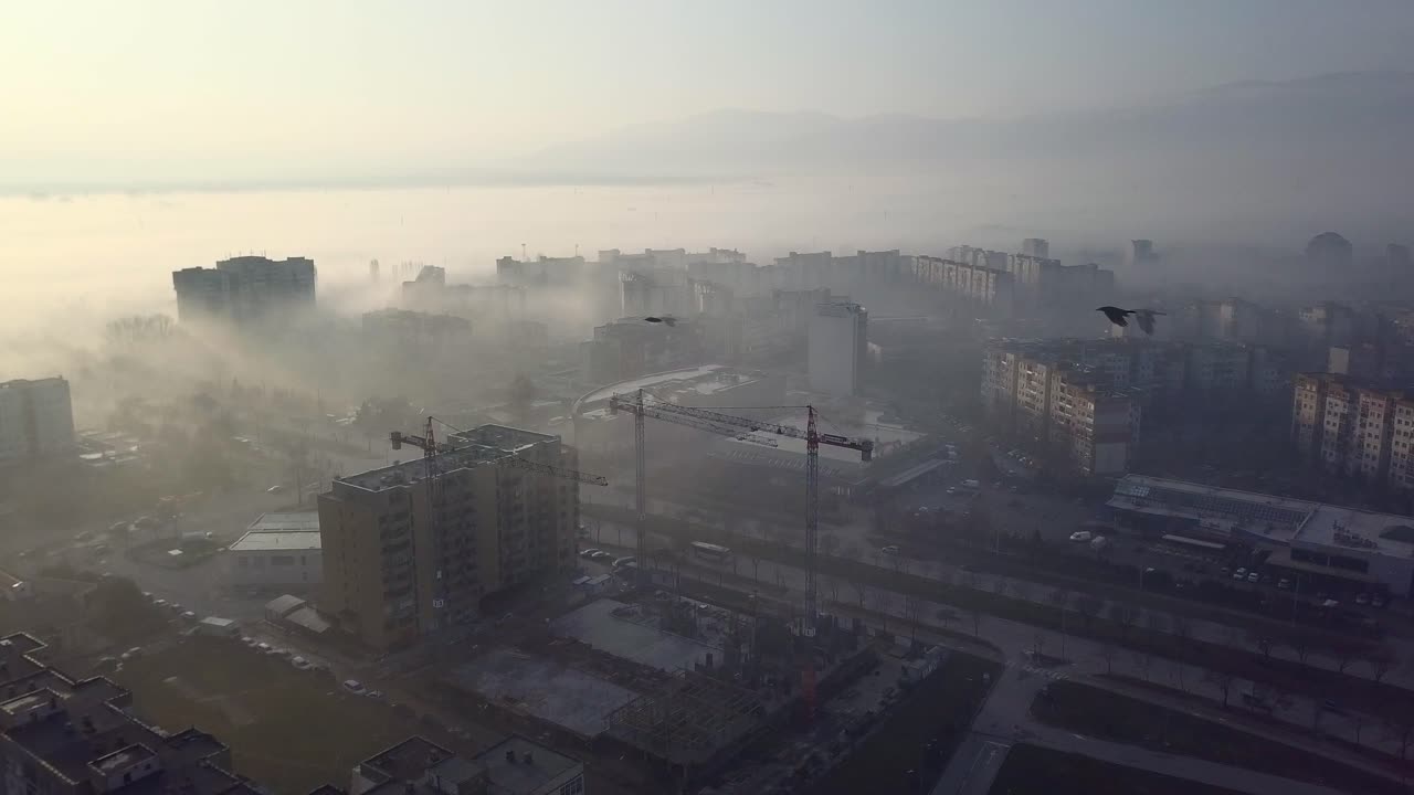 Flying over a concrete living apartment area in east Europa with many birds flying around the drone