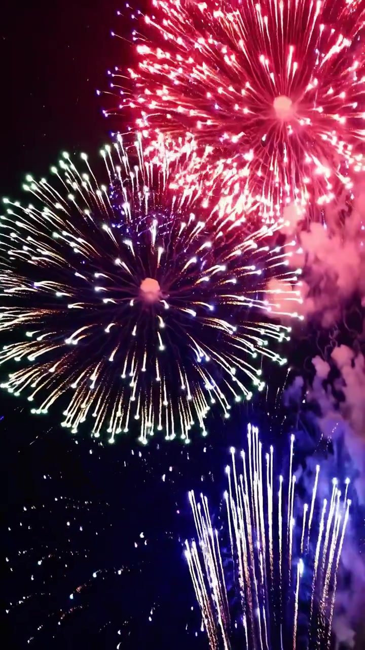 Colorful Fireworks Exploding in the Night Sky