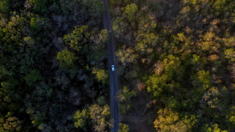 Disparo-Cinematográfico-De-Drones-En-ángulo-Descendente-De-Un-Automóvil-Blanco-Que-Conduce-A-Través-De-Un-Denso-Bosque-Cerca-De-Mérida,-México