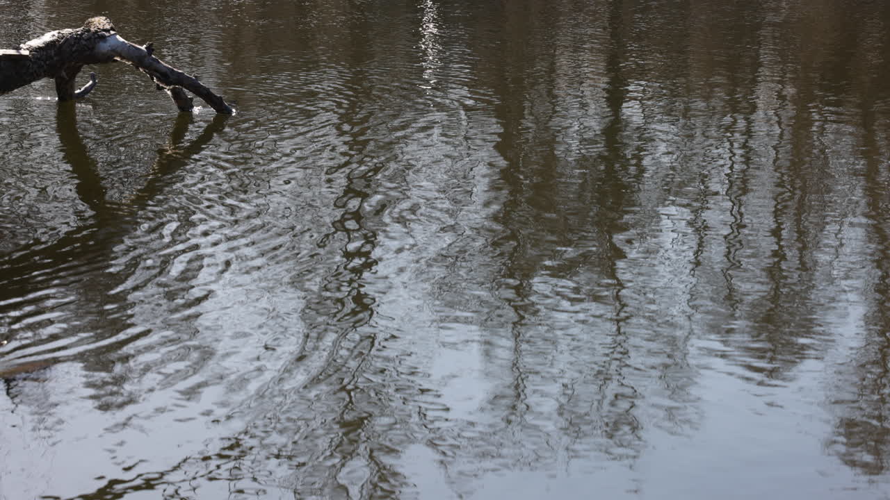 자연 속 의 호수