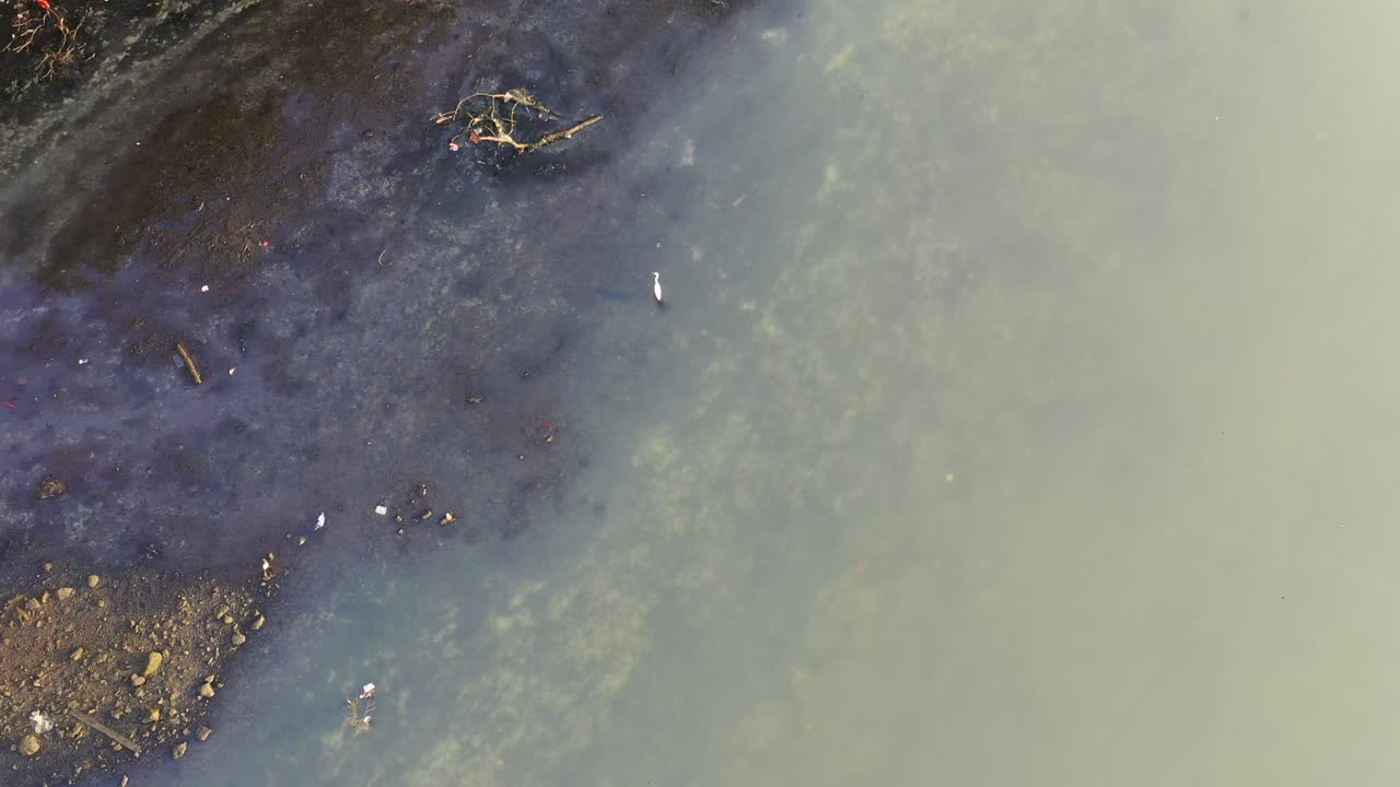 Polluted Riverbank with Bird