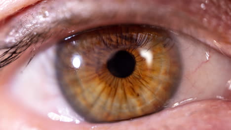 primer plano del ojo