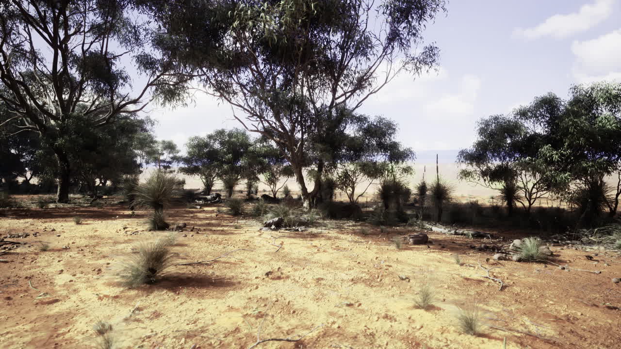 Desert landscape with sparse vegetation and distant hills under clear sky