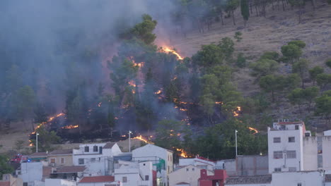 forest fire in the pine forests of jaén, andalusia, spain. the fire devours vegetation, with thick smoke hanging over houses