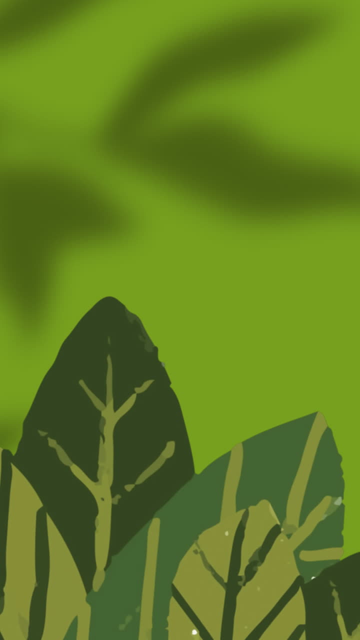 Animation of plants over leaves and window shadow on green background