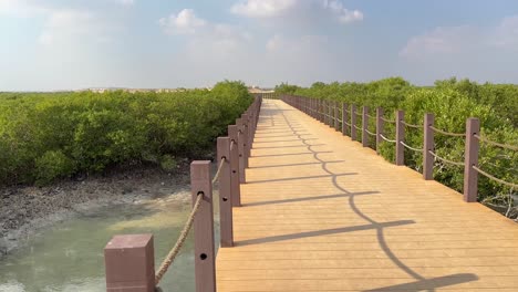 Paseo-De-Turismo-Ecológico-Camino-De-Madera-Cercas-Marrones-Y-Cuerda-De-Algodón-Natural-El-Sol-Brilla-Sombra-Hacer-Patrón-En-El-Mangroove-Bosque-De-Manglares-Khor-Qatar-Doha-Ciudad-Pueblo-Cielo-Azul-Nubes-Blancas-En-El-Fondo