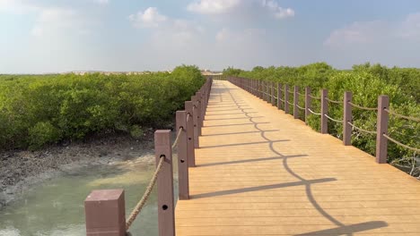 eco tourism walkway wooden road brown fences and natural cotton rope sun shines shadow make pattern in the mangroove mangrove forest khor qatar doha city village blue sky white clouds in background