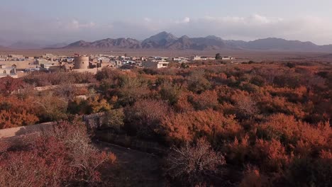 Ciudad-Castlr-De-Sarv-En-Aqda-Ardakan-Yazd-Con-Casas-De-Barro-Y-Huerto-De-Granadas-En-Otoño-Colorida-Temporada-De-Cosecha-Fruta-Roja-Madura-Y-Deliciosa