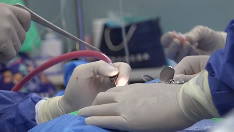 spine surgery explained: common procedures, recovery expectations, risks, and advances in minimally invasive techniques for treating chronic back pain and spinal disorders"