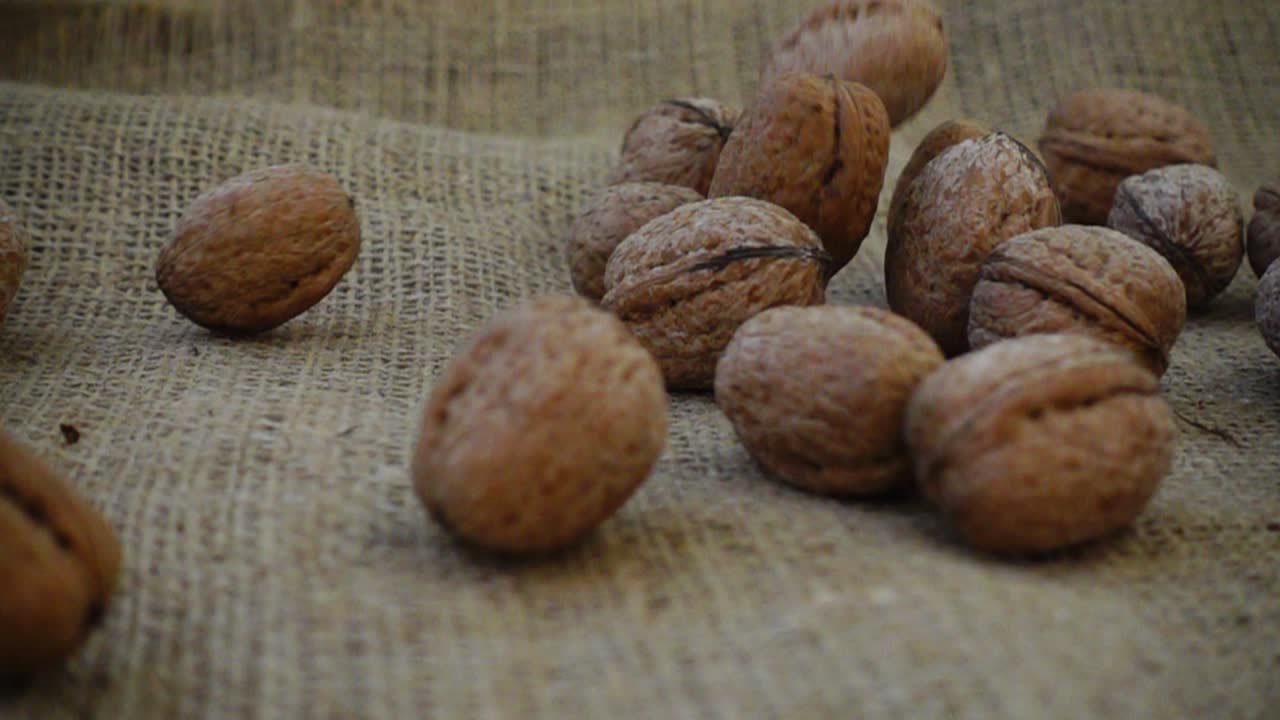 Walnuts fall on burlap. Slow Motion