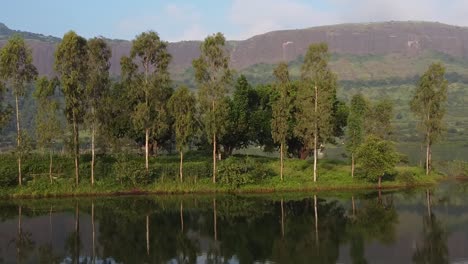 person walking in the field with trees on the bank of lake at daytime