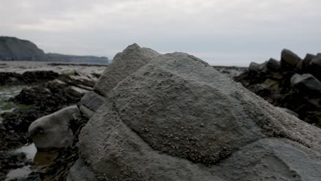 stone beach in south of england, surrounded by cliffs