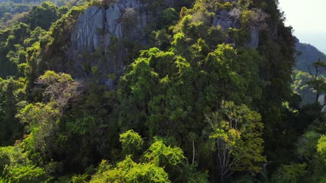 Sunlight-shining-on-a-dense,-vibrant-green-forest-covering-a-mountainside-in-southeast-asia