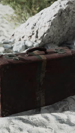 vintage suitcase on a path