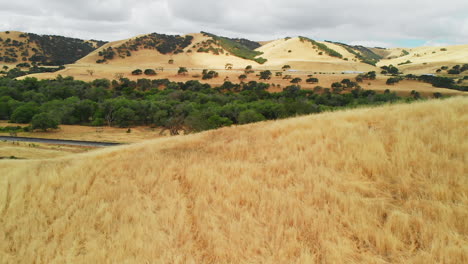 Aéreo-De-La-Carretera-En-El-Paisaje-De-La-Colina-De-Hierba-Seca