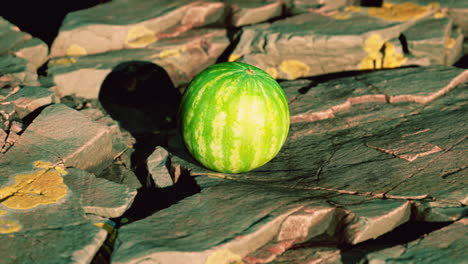 bayas de frutas de sandía en piedras rocosas