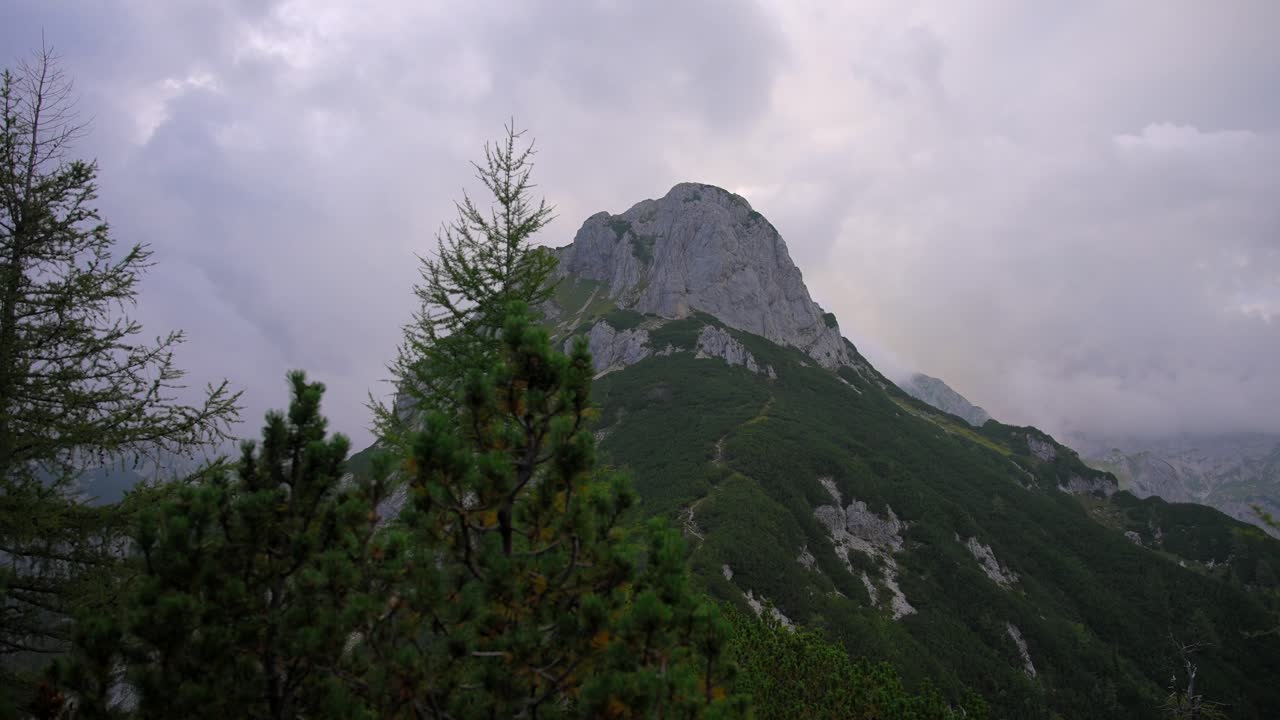 k video ancho filmado en un gimbal up