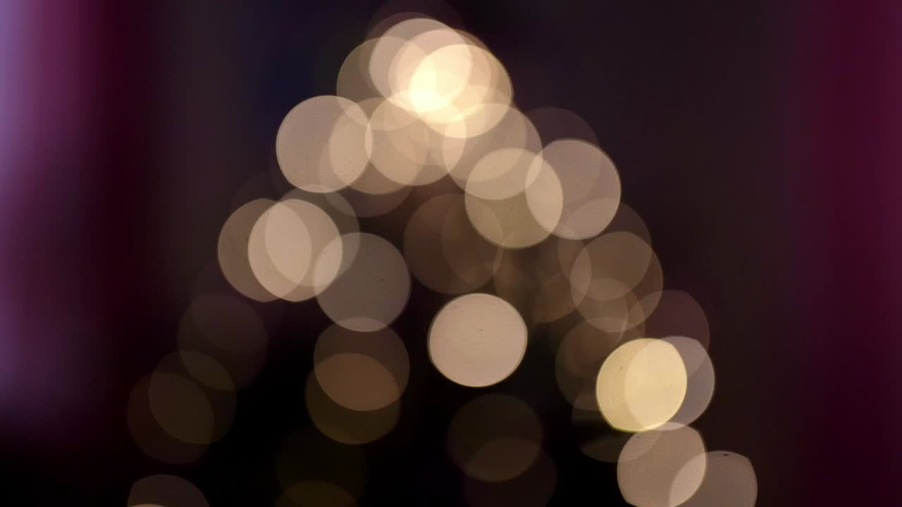 어 속에서 박이는 꽃받침 불빛