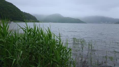 the japanese highlands around mount fuji in the mist