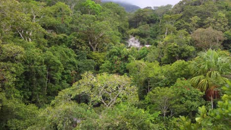 el valle de la selva exuberante, vista aérea desde un avión no tripulado