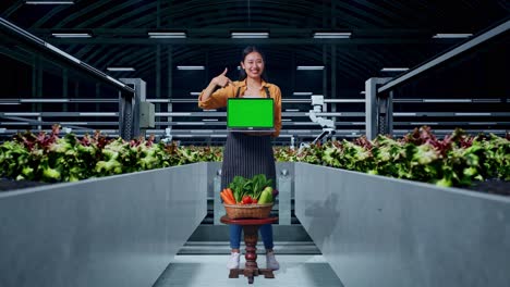 full body of asian female farmer with vegetable basket showing and pointing to laptop green screen in smart farm