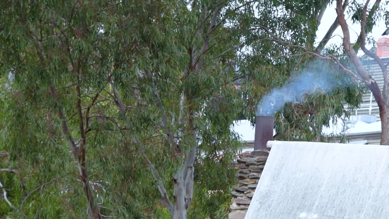 A serene suburban scene with smoke rising from a chimney, surrounded by trees and rooftops under soft daylight