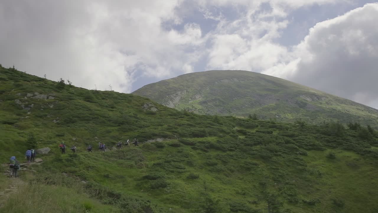 배을 들고 산에 산책하는 산책 관광객들의 그룹.
