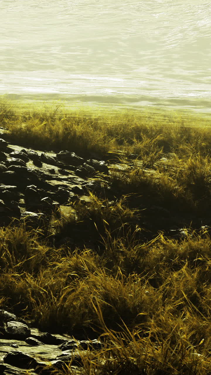 Vast grassland meeting a tranquil body of water during golden hour