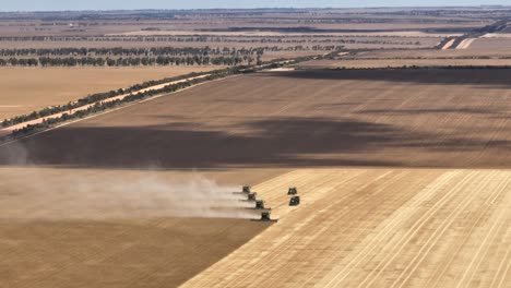 broad acre grain harvesting in western australia