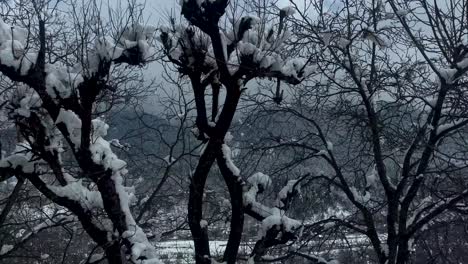 snowy adventure in the himalayan region anantnag - snow on roads, snowboarding, and majestic view