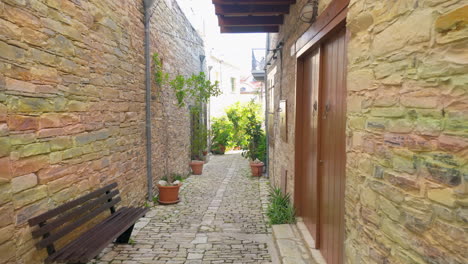 Un-Camino-Pintoresco-En-Lefkara,-Bordeado-De-Plantas-Con-Flores-Y-Casas-Tradicionales-De-Piedra,-Que-Realzan-La-Atmósfera-Tranquila-Del-Pueblo.