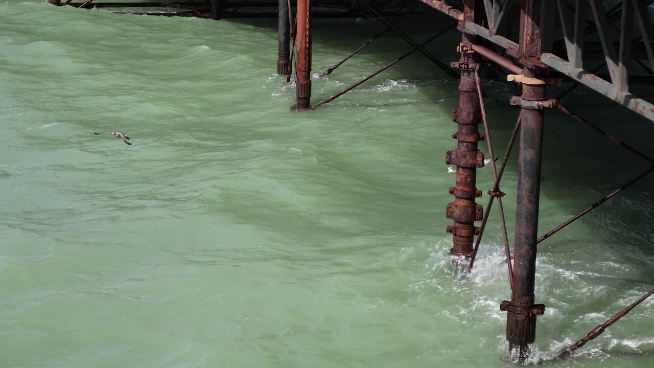 Seagull gliding over waves by pier structure