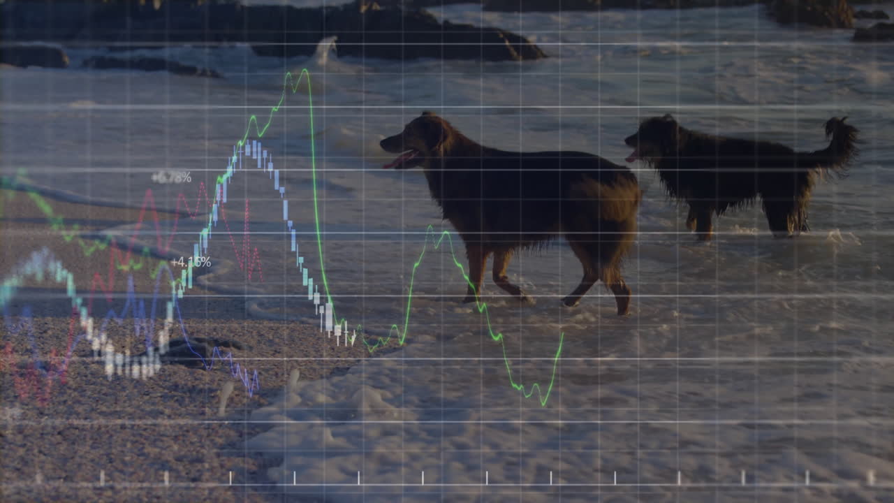 Brown dogs wading shallow waters while animated financial chart overlay showing candlestick bars