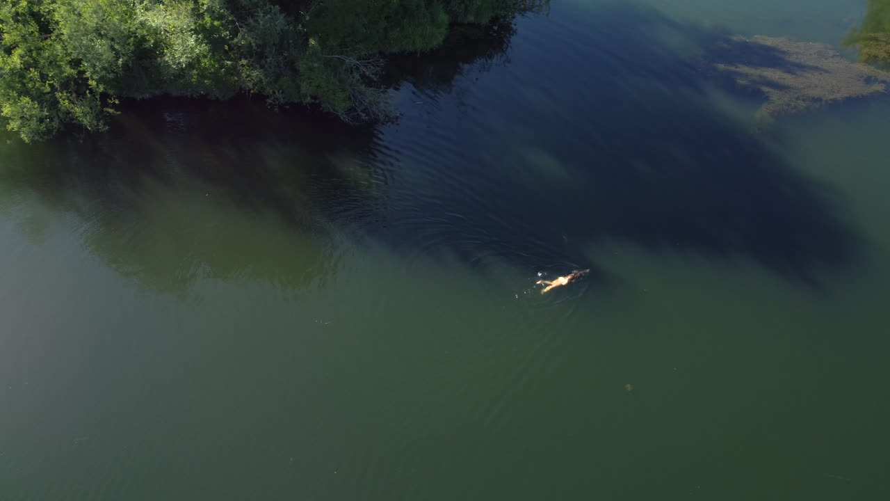 호수 에서 수영 하는 사람