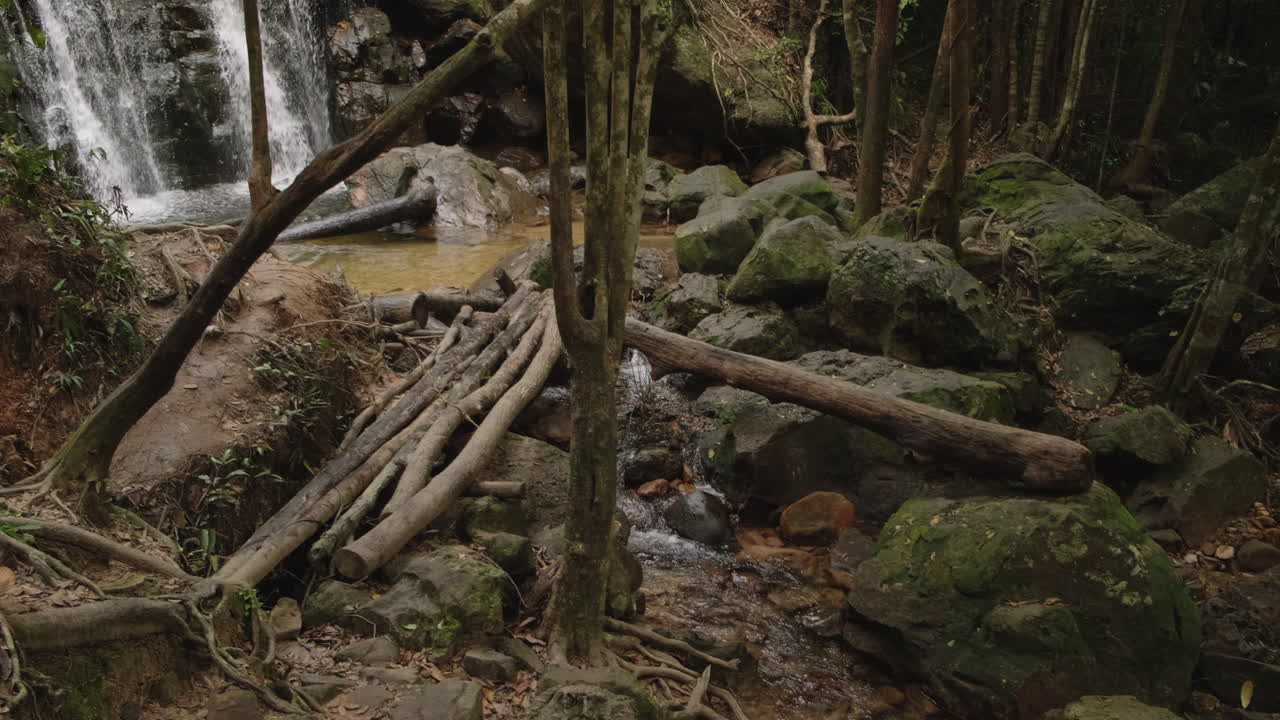 cascada de la jungla y arroyo