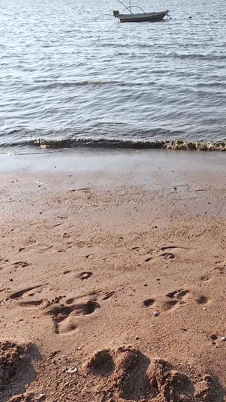 파도가 부드럽게 모래 해변을 고