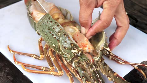 chef hands with knife opening giant lobster shell - cooking seafood concept