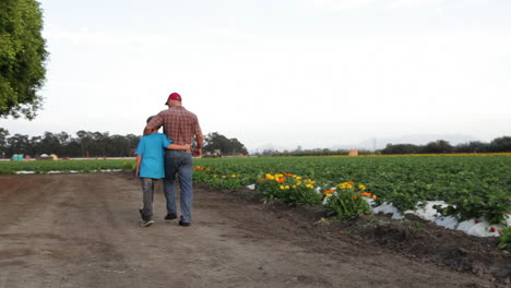 a father and son walk in a farm field 1